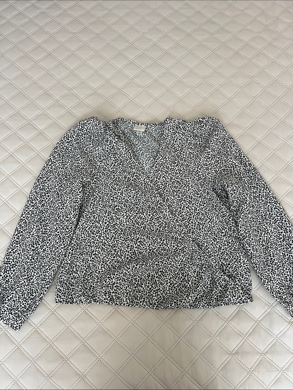 a new day Black & White Dotted V-Neck Long Sleeve Blouse